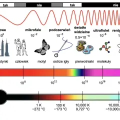 Spektrum elektromagnetyczne: od fal radiowych po promieniowanie gamma, z przykładami obiektów i temperatur. Fotografia w podczerwieni pokazuje ciepło.