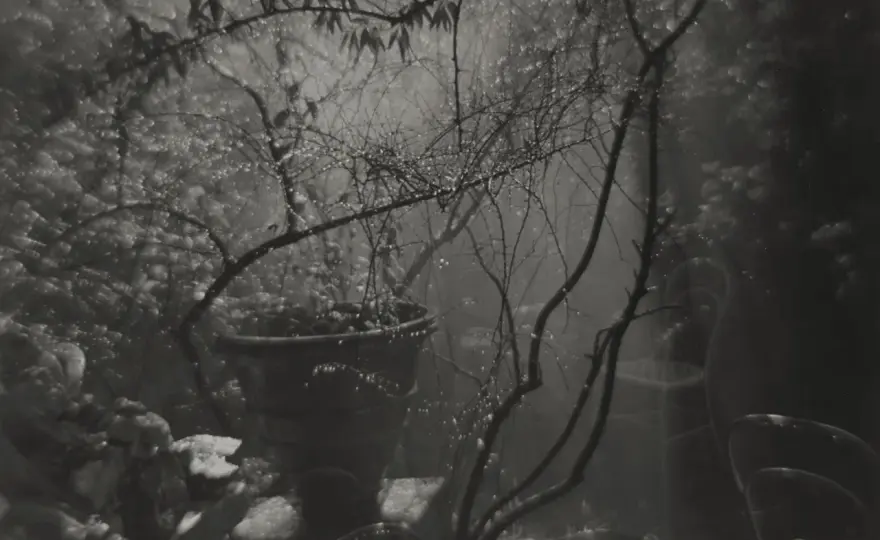 Josef Sudek i fotografia ciszy, która zostaje w pamięci