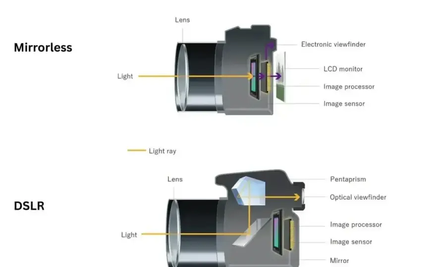 Jak działa lustrzanka? Zobacz budowę korpusu DSLR