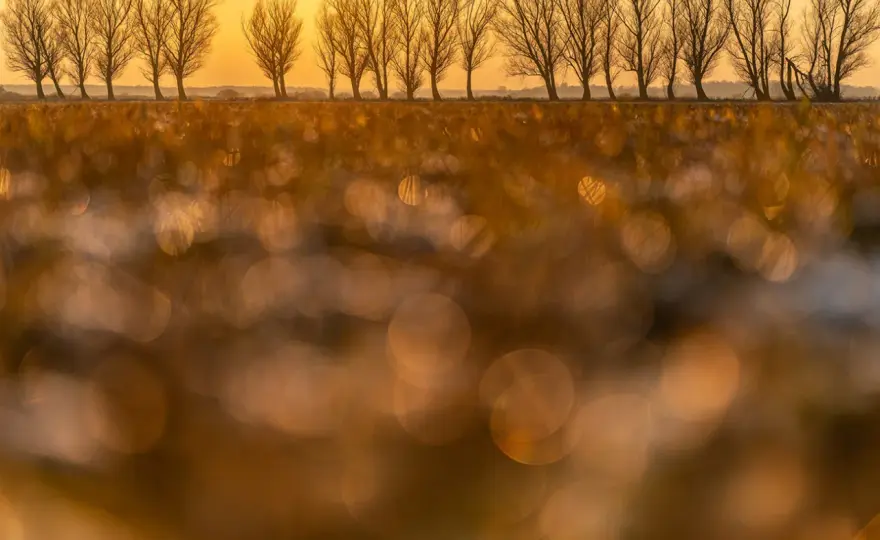 Jesienne kadry - jak fotografować światło, mgłę i kolor