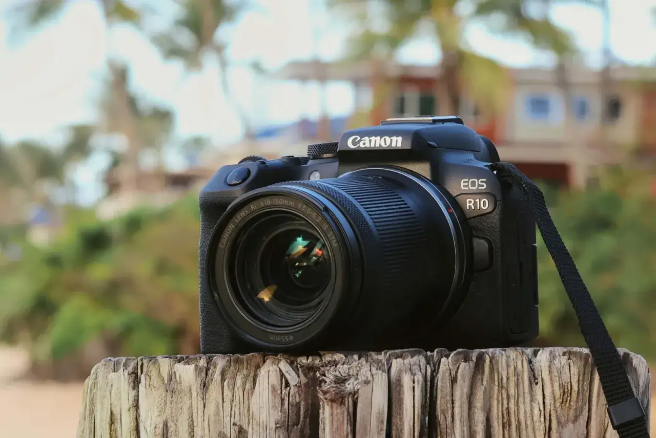 Aparat Canon EOS R10 na drewnianym pniu, gotowy do testów w plenerze.