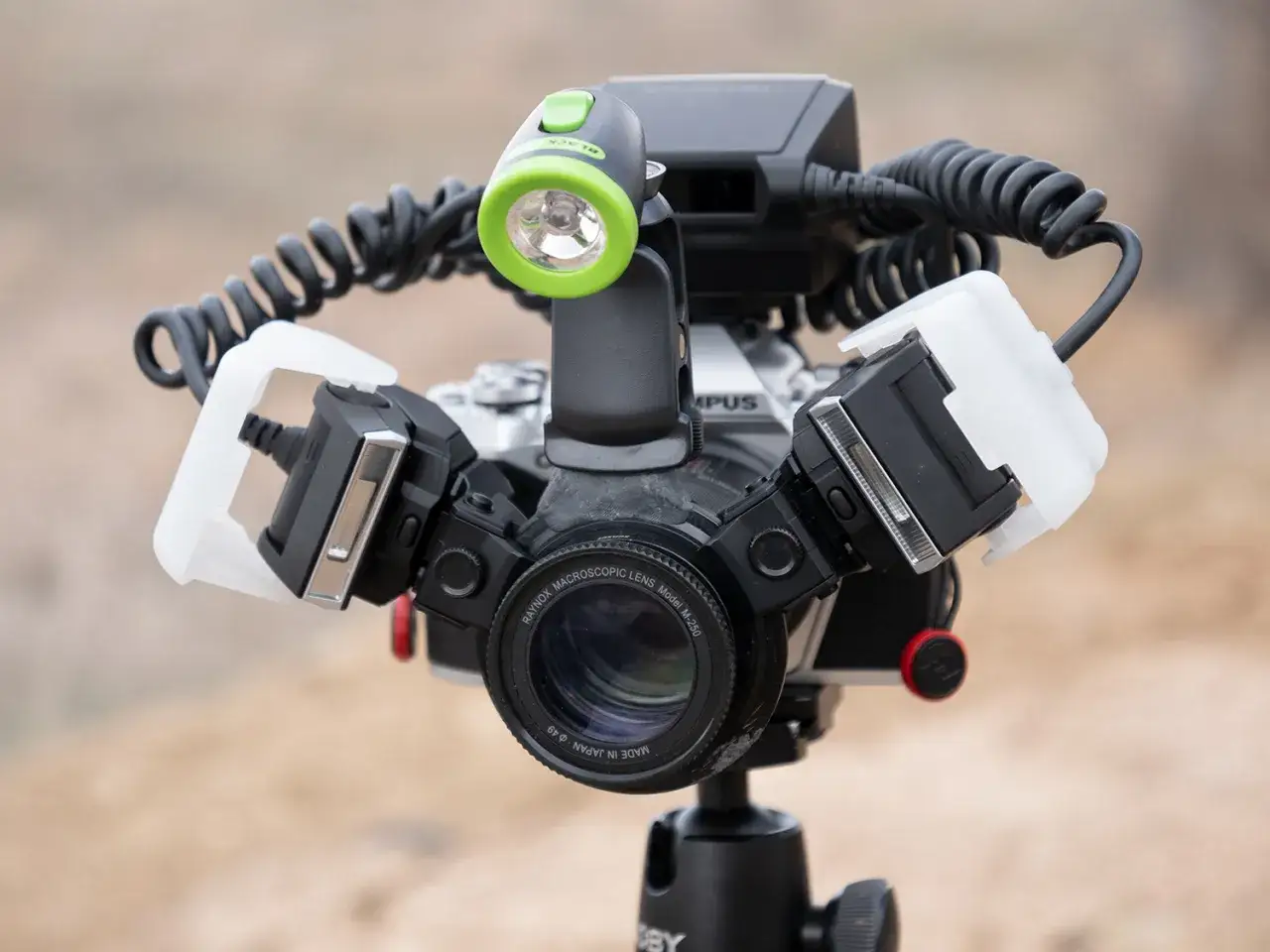 Profesjonalny zestaw do fotografii makro: aparat z obiektywem Raynox, lampy błyskowe i mała latarka.